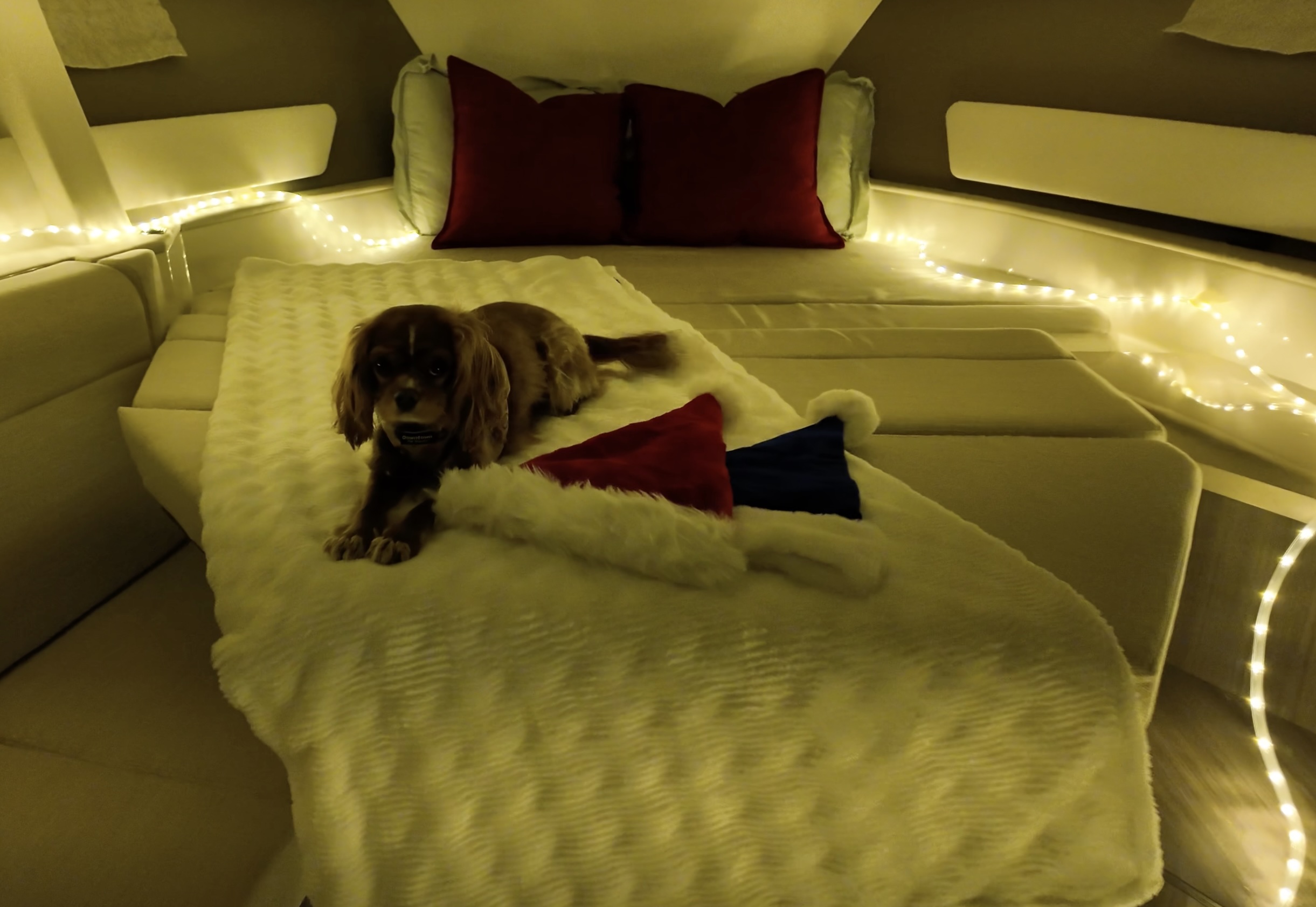 Cozy cabin interior below deck